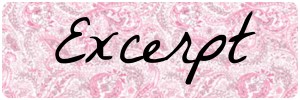 excerpt