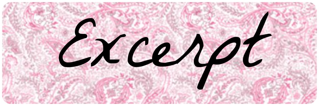 excerpt