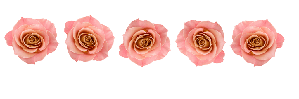5 rose