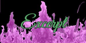 Excerpt
