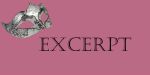 excerpt