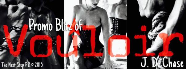 Vouloir_Promo_Banner