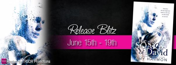 he song of david release blitz