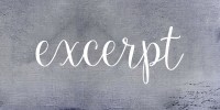 excerpt