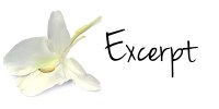 Excerpt