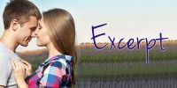 Excerpt