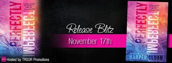 perfectly imperfect release blitz
