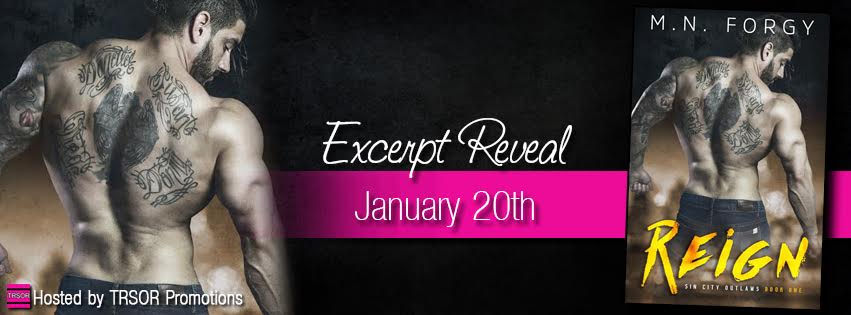 reign excerpt reveal