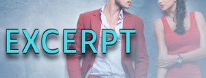 Excerpt
