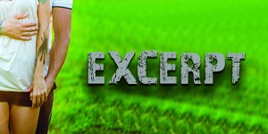 Excerpt