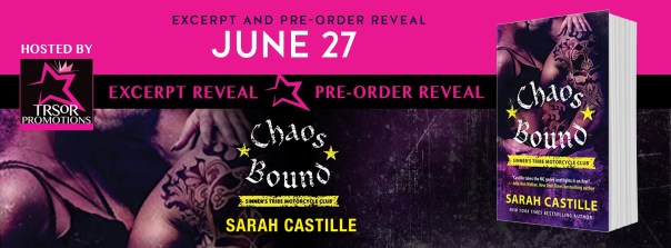 CHAOS BOUND EXCERPT REVEAL