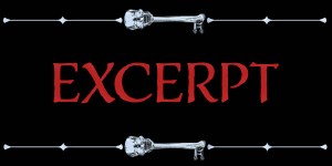 Excerpt