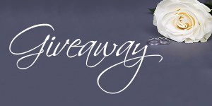 beautiful white rose flower and wedding rings over grey