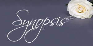 beautiful white rose flower and wedding rings over grey