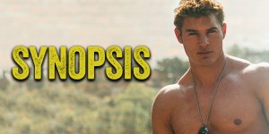 synopsis
