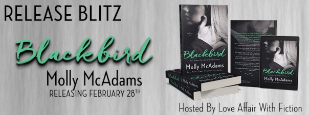 blackbird-rb-banner