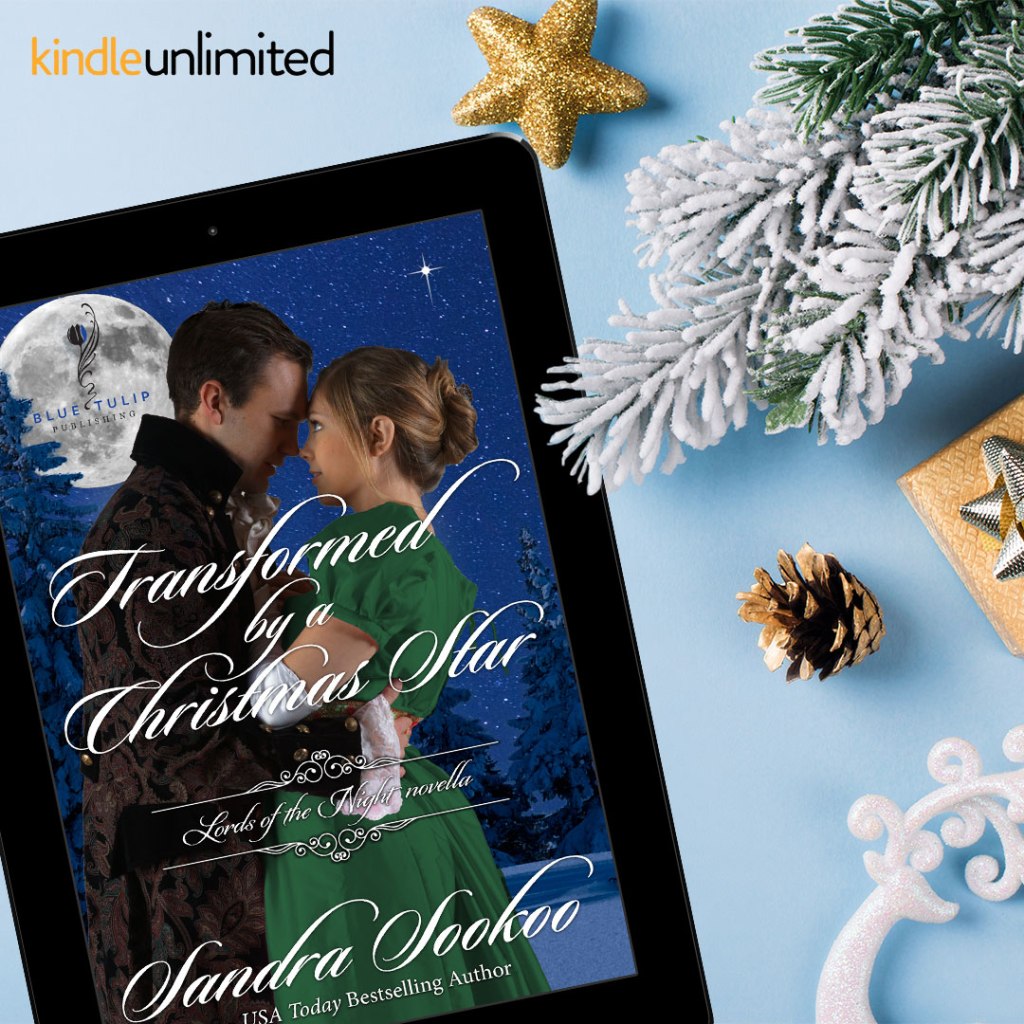 Transformed by a Christmas Star by Sandra Sookoo ~ Release Boost &&nbsp;Giveaway